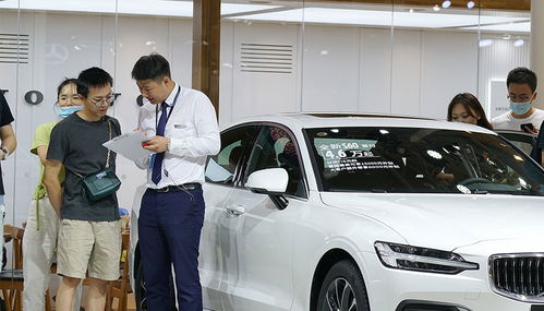 八成公司销量下滑 汽车经销商上半年业绩加速分化